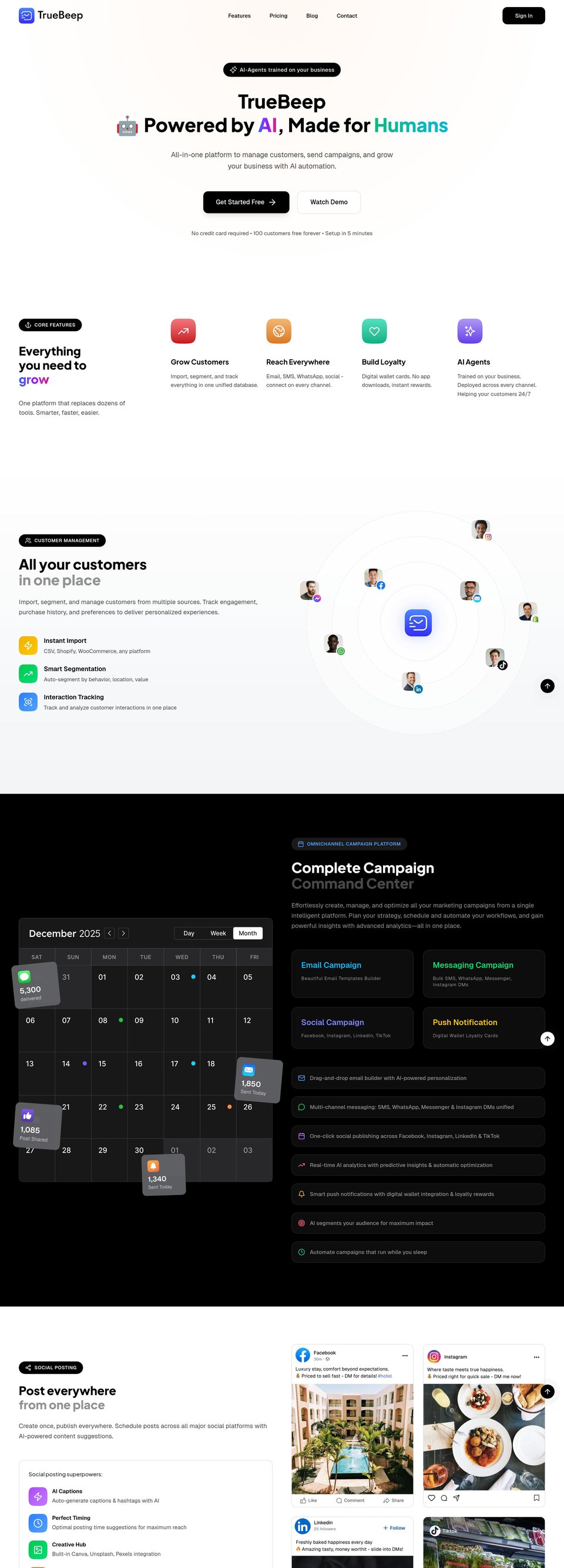 TrueBeep full page (part 1)